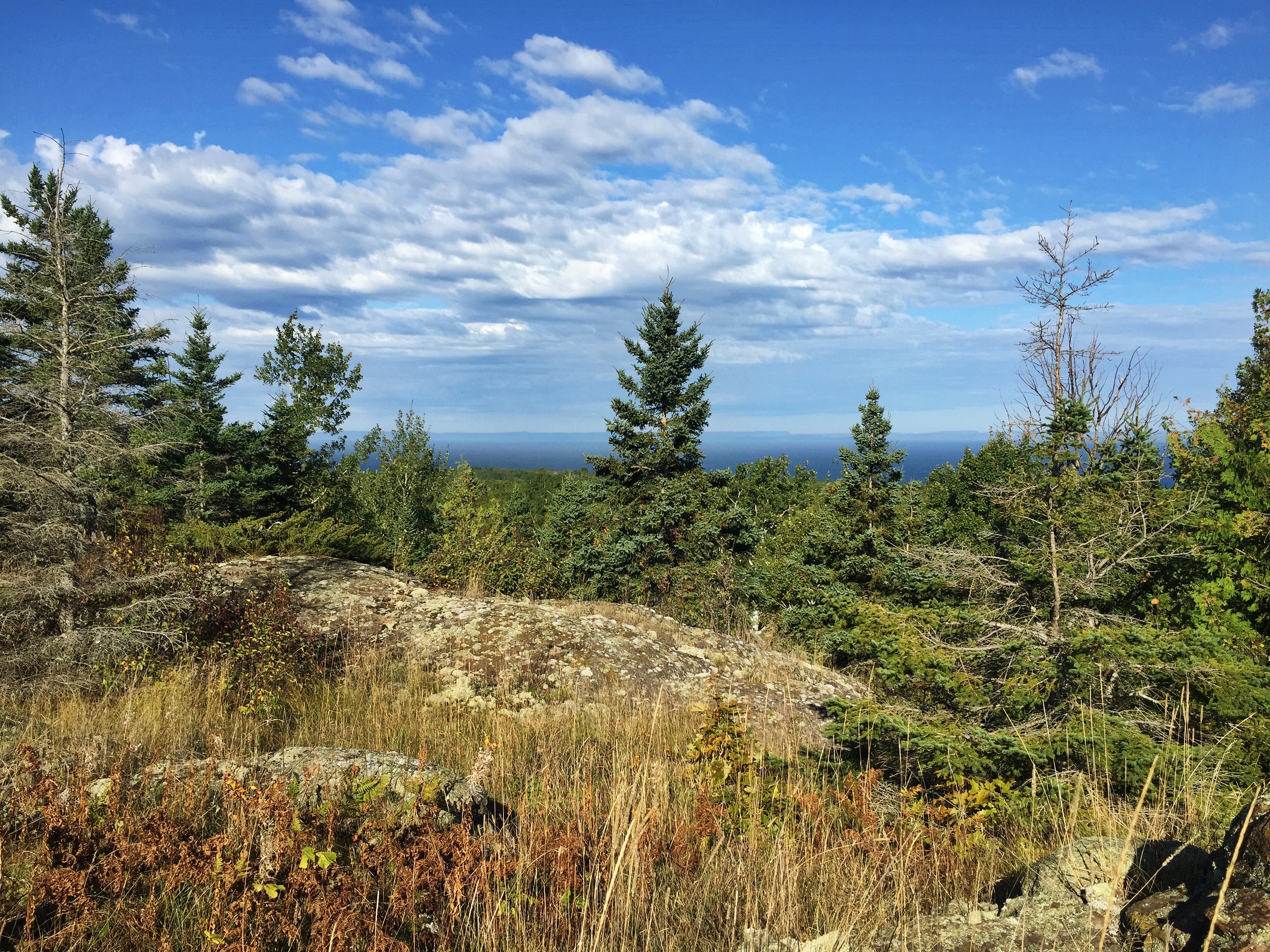 View from a rocky ridge over a mixed evergreen and hardwood forest