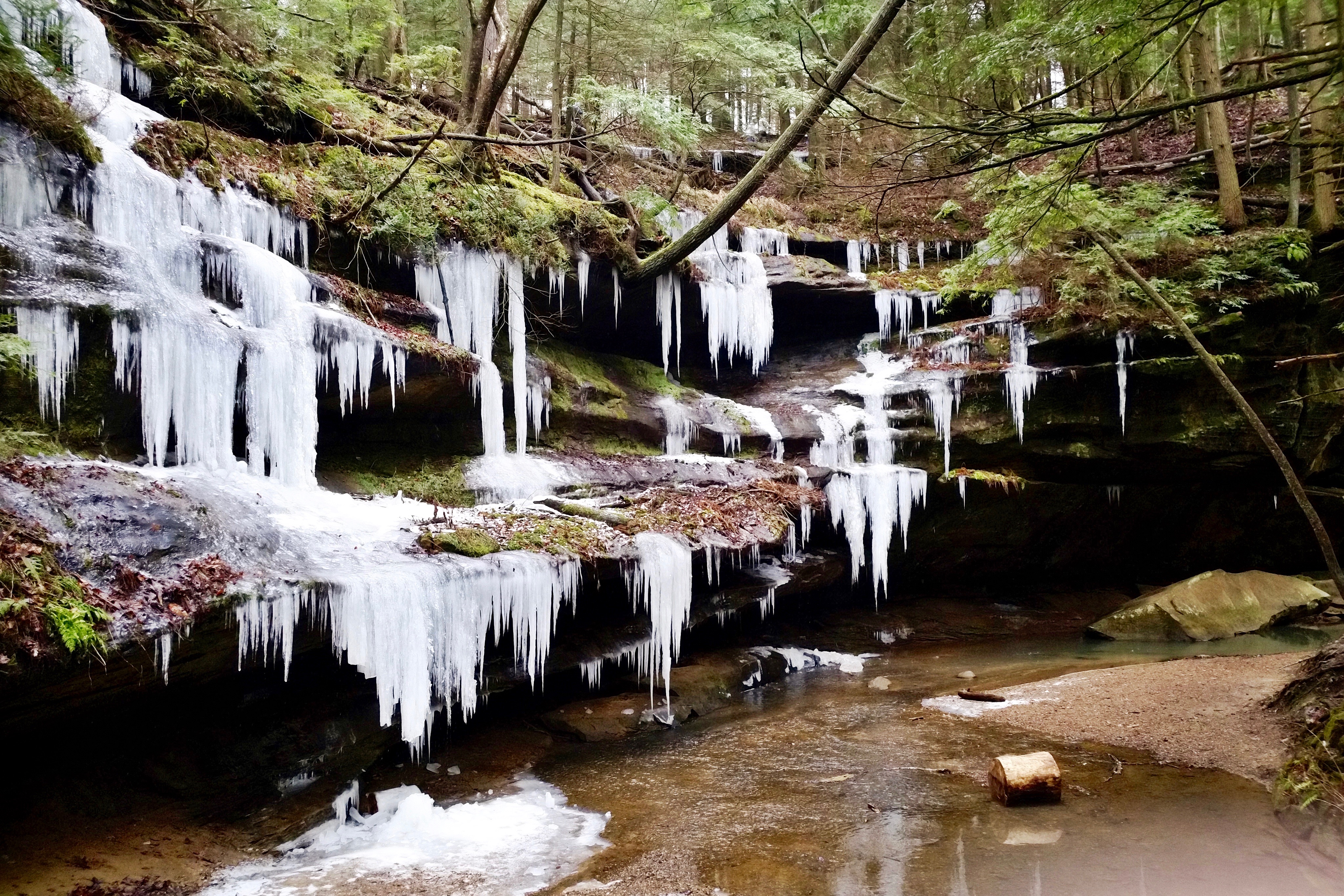 Lots of icicles hanging from a cliff face with some scare green trees