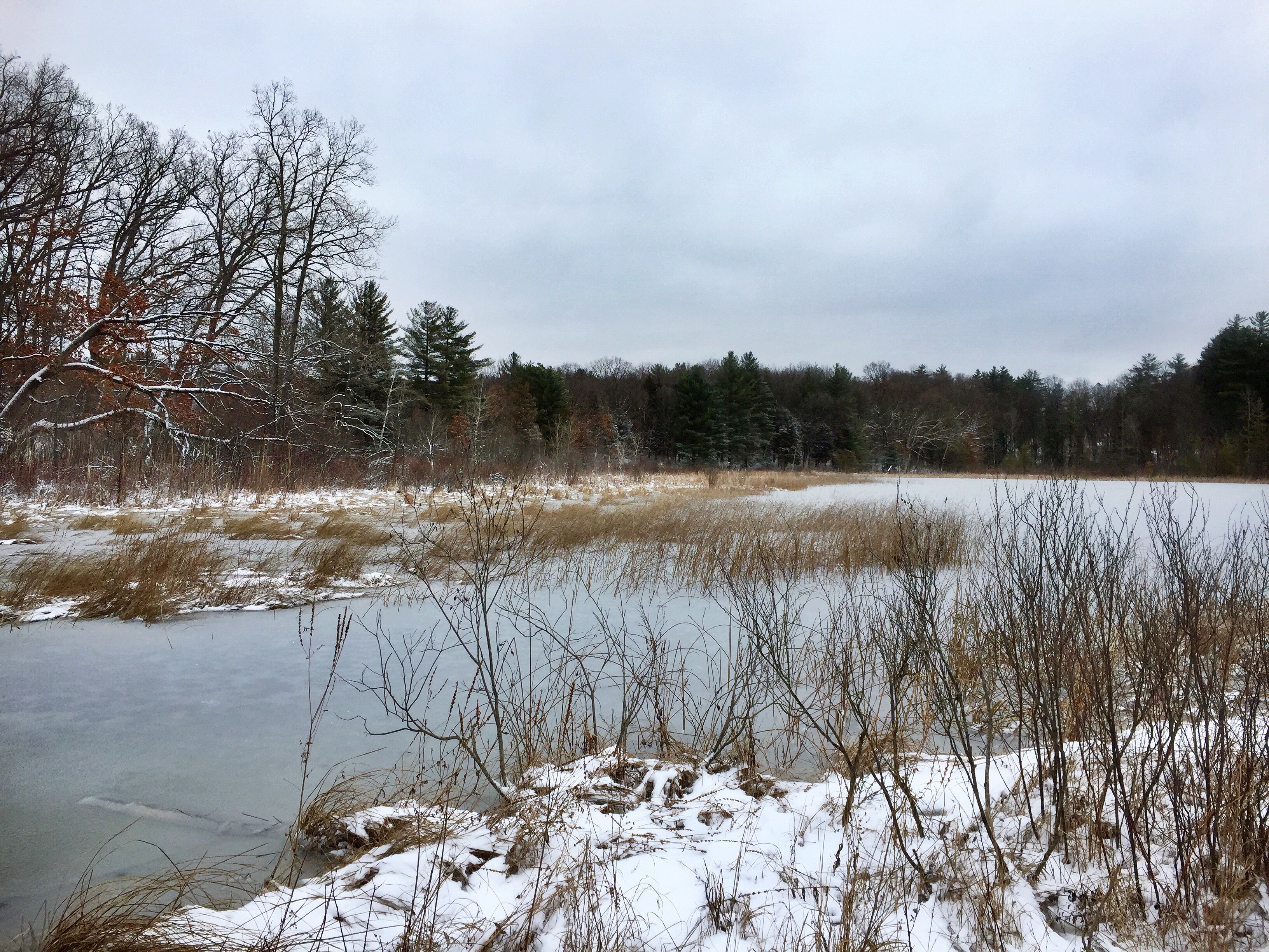 A frozen river bends with snowy banks and forest in the background