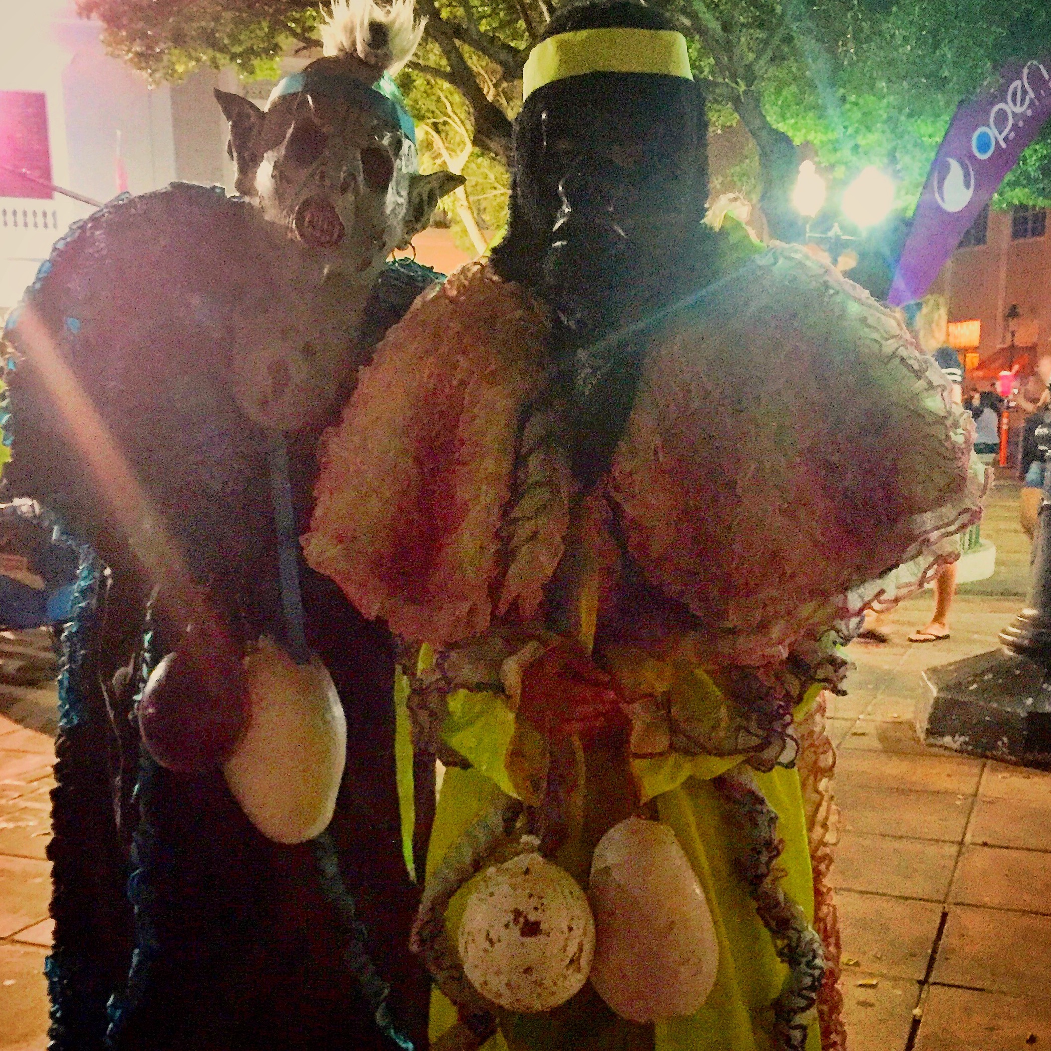 vejigantes, costumed and masked adolescent boys at carnival in ponce puerto rico