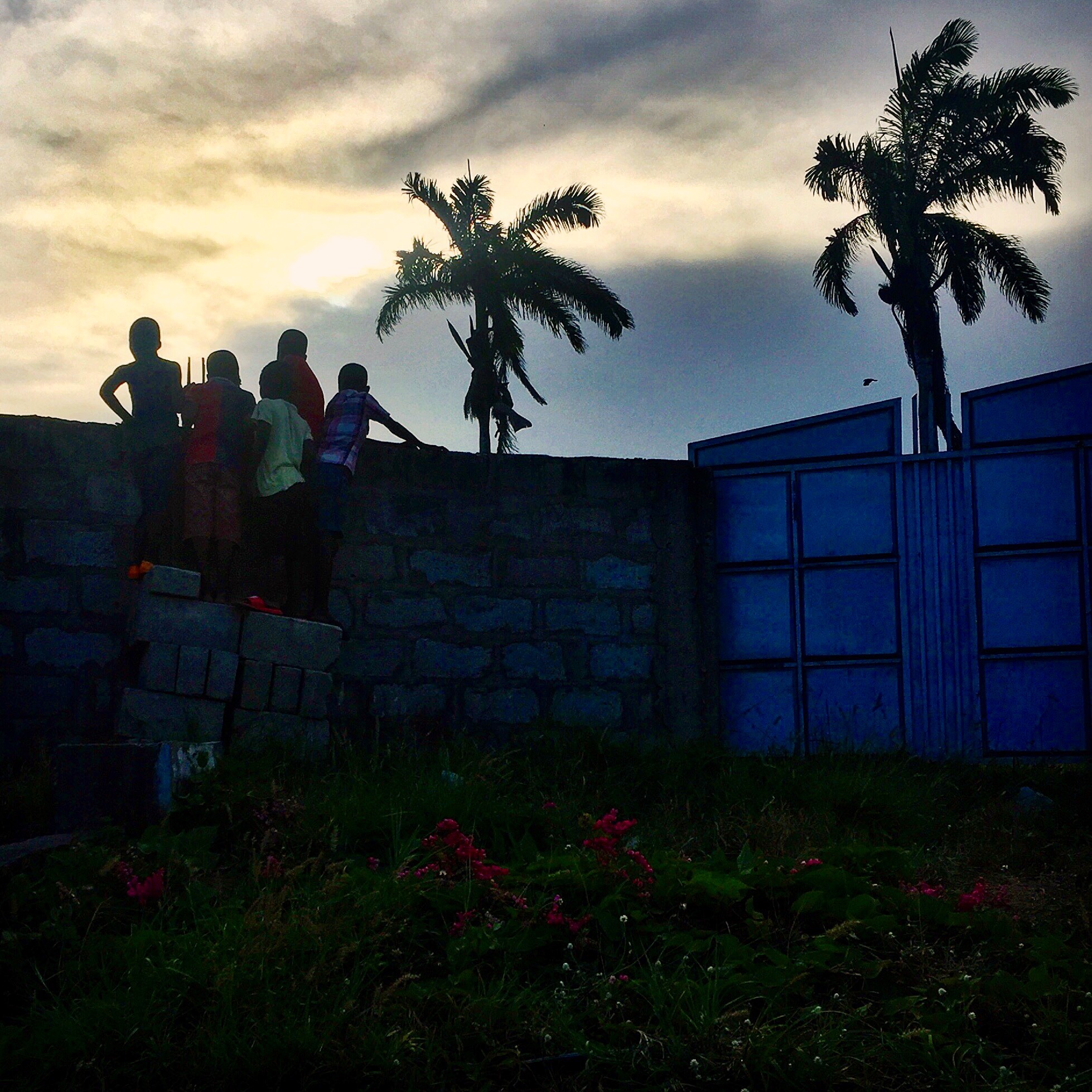 a group of children peering over a wall and palm trees silhouetted against a sunset sky