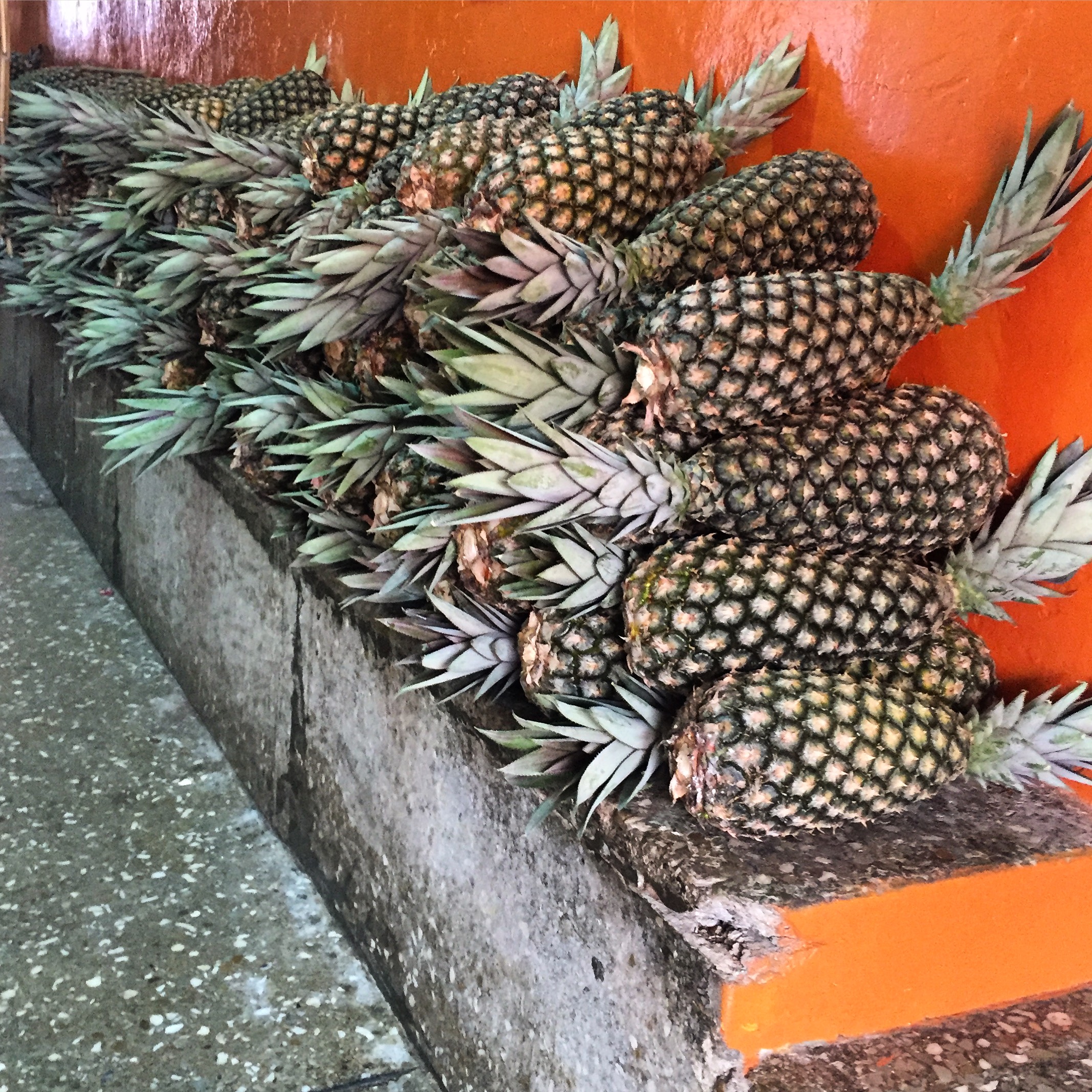 a pile of pineapples stacked on a cement bench against an orange wall